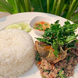 ข้าวกะเพราไข่เยี่ยวม้าเนื้อ