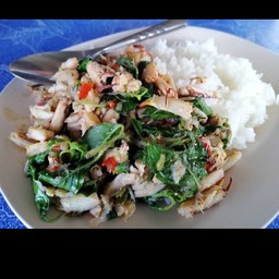 ข้าวกระเพราปู