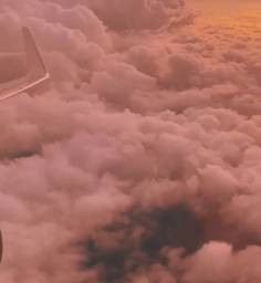 กุ้งดอง ยอโบเซโย