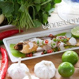 ปลากระบอกร้า ปากพนัง