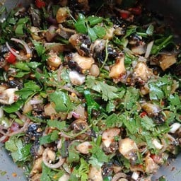 ก้อยหอย