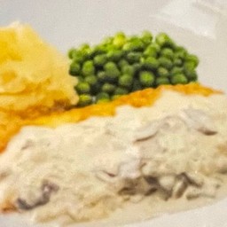 Fish Fillet with wine &mushroom sauce