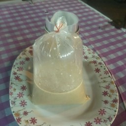 ชาเนสทีนมสดร้อน