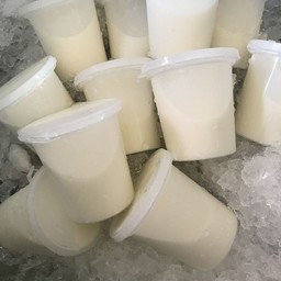 พุดดิ้งมะพร้าวอ่อน