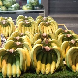 กล้วยหอมทอง