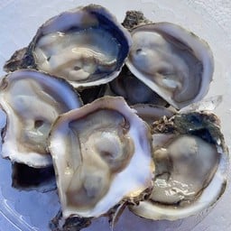 ยำน้องหมิว & หอยนางรมสด