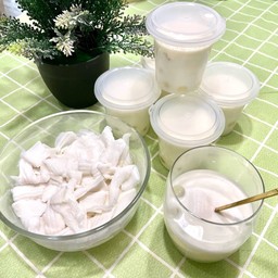 พุดดิ้งมะพร้าวนมสด ไม่ใส่น้ำตาล by Nink Homemade