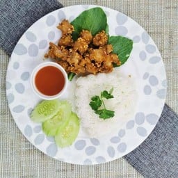 เกรซ อาหารจานเดียว