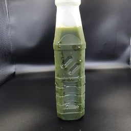 น้ำใบบัวบก