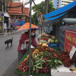 ร้านผลไม้น้องนะโมขายผลไม้ตามฤดูกาล