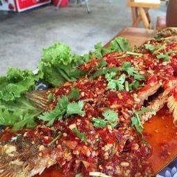 ปลากรพงสามรส