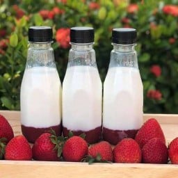 Milk Strawberry (สตรอเบอร์รี่นมสด)
