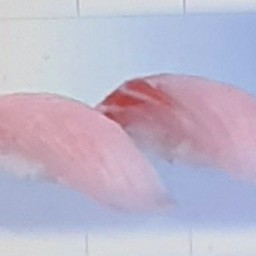 กะพง ซูชิ