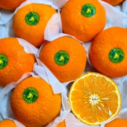 ส้มไต้หวัน ไซส์ XL- 1 กิโล