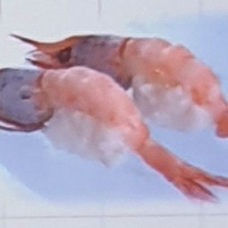 กุ้งหวาน ซูชิ