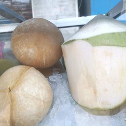 มะพร้าวสด(ลูกละ)
