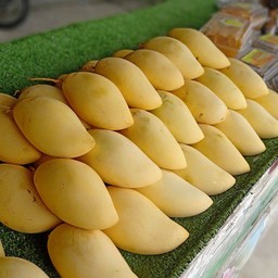 มะม่วงสีทอง ลายใหฯ่