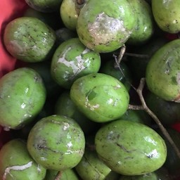 มะกอกสด(ถุงละ)