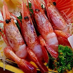 กุ้งหวาน ซาชิมิ