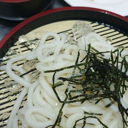 ซารุอุด้ง