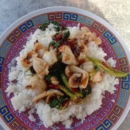 ข้าวราดผัดกระเพรา