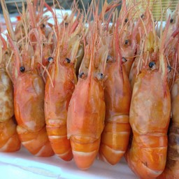 ร้านกุ้งเผาเจ๊เอ๋ พงษ์ศิริชัย1