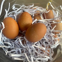 ไข่ไก่ต้ม