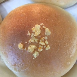 ถั่วทอง(TT)