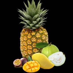 "ร้านผลไม้ / อุ้ม   ผลไม้สด & Fruit juice สี่แยกเดชะ