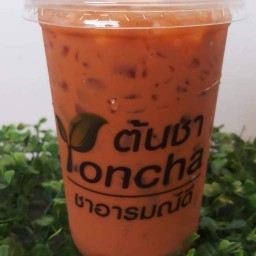 ต้นชา ชาอารมณ์ดี