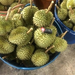 ทุเรียนป้าอ้วน หน้าโตโต้