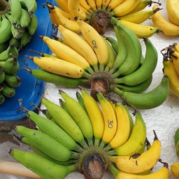 ร้านผลไม้ตามฤดูกาล