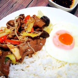 โปรคิทเช่น