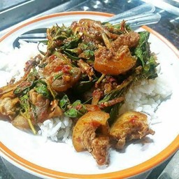 ผัดเผ็ดหมูป่าราดข้าว