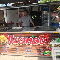 แมวทองหมูกะทะ บ้านหนองหิน ต.ศิลา