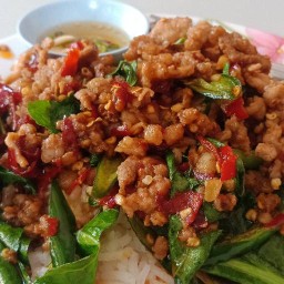 นัดดากระเพราเผ็ดนรกแตก