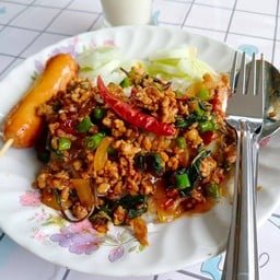 ชามั้ง? ป่าแดด