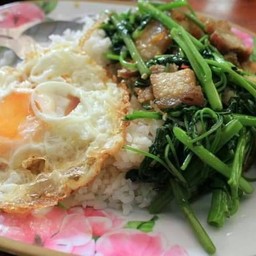 ข้าวราด ผัดผักบุ้ง หมูกรอบ ไข่ดาว