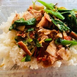 ข้าวราดผัดกระเพราเบค่อน