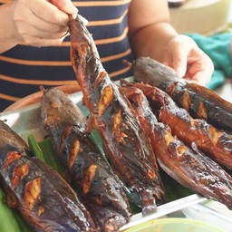 ปลาดุกย่าง 1ตัว