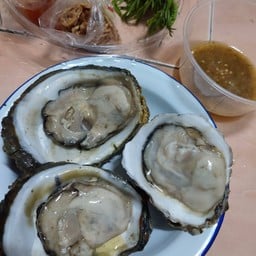 หอยนางรม