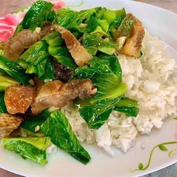 ผัดคะน้า