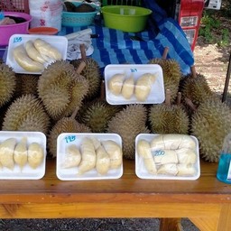 ไจแอนท์  ทุเรียนระยอง