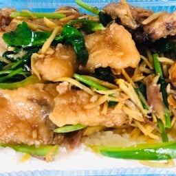 ข้าวปลากระพงผัดคื่นช่าย