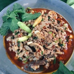 ติดชา