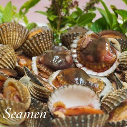 SEAMEN ชายเล