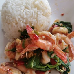 กะเพรากุ้งราดข้าว