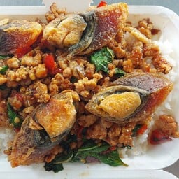 ผัดกระเพราไข่เยี่ยวม้า หมูสับ ราดข้าว