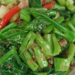 คะน้าฮ่องกงปลาเค็ม