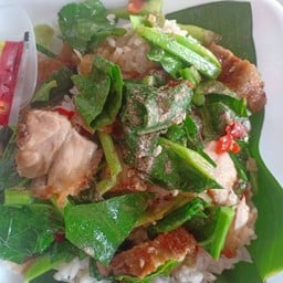 ผัดคะน้าน้ำมันหอย